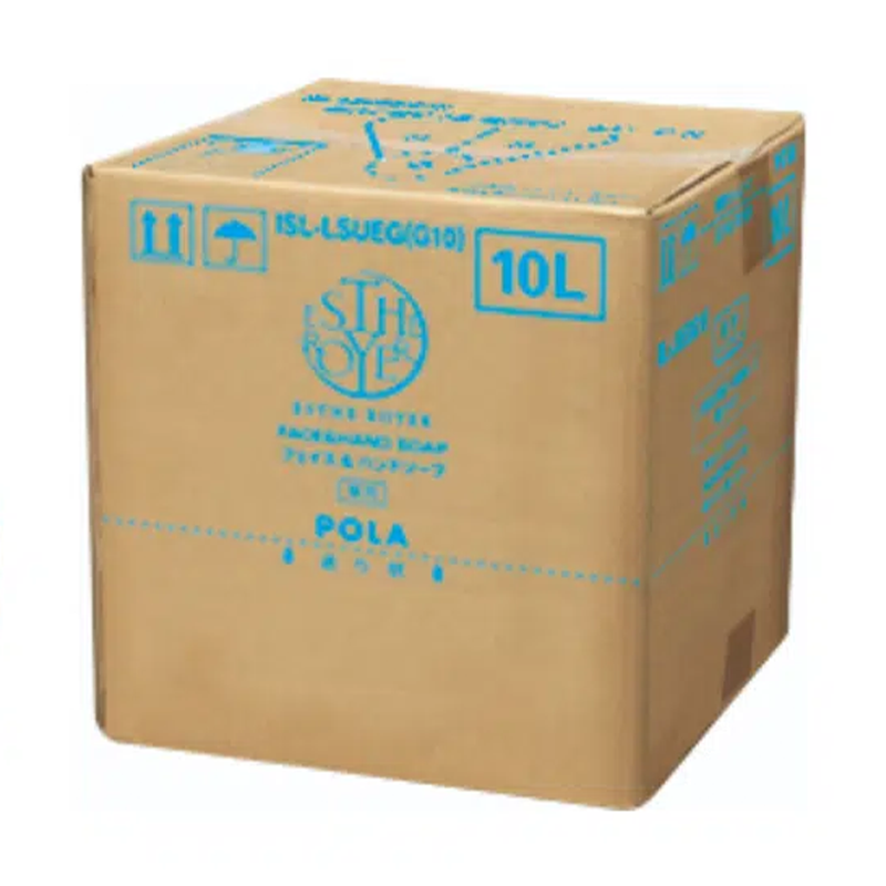 POLA-ESTHE ROYER-洗臉洗手慕斯-10L